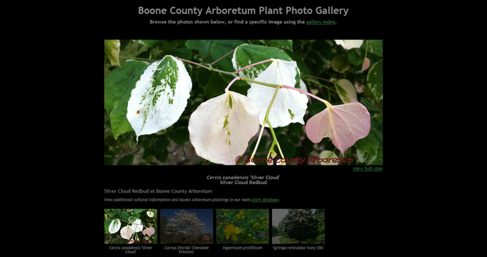Plant Photo Gallery Preview