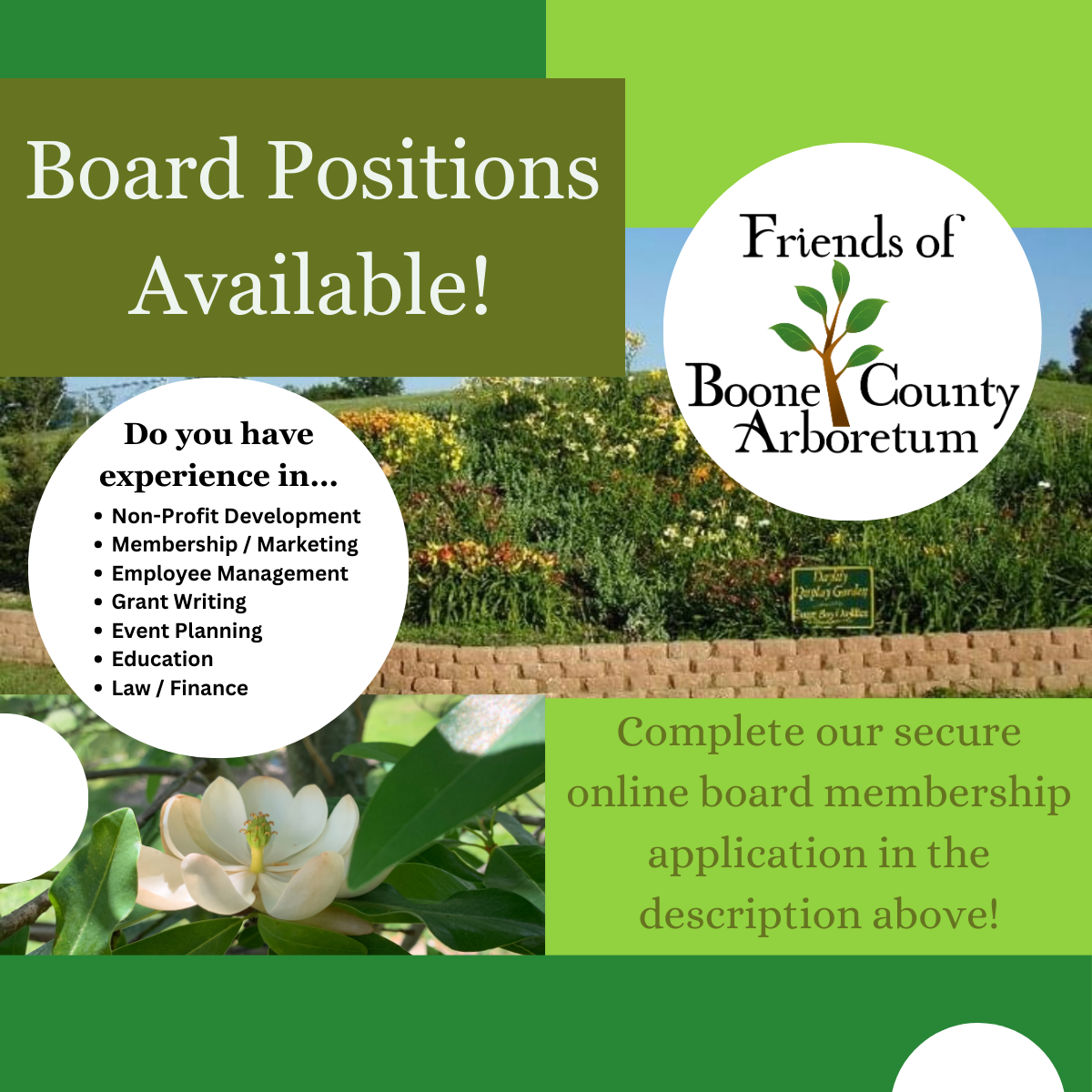 Board Application Flyer