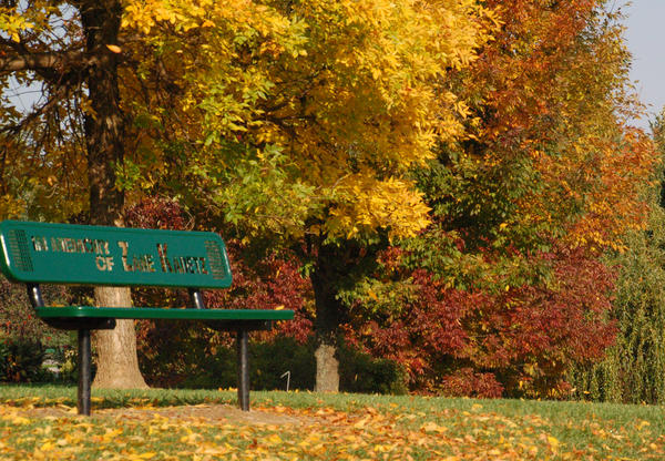 Tribute Bench