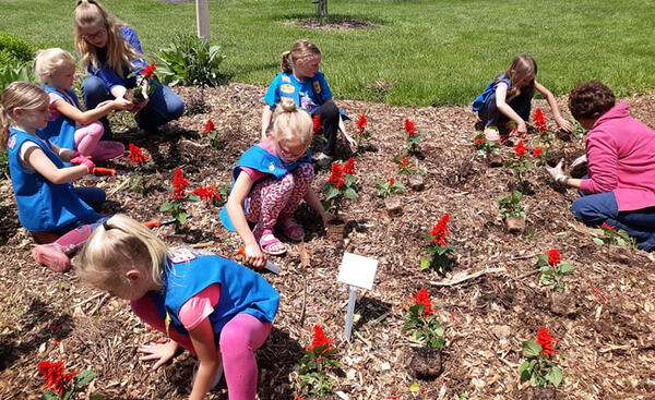 Planting Annuals