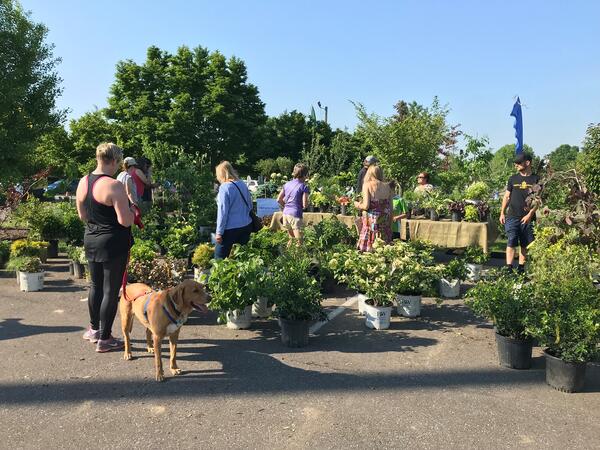 Arboretum Plant Sale  Boone County Arboretum