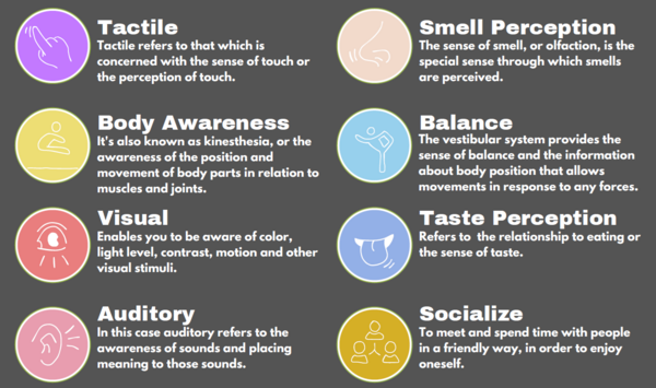 Senses Infographic