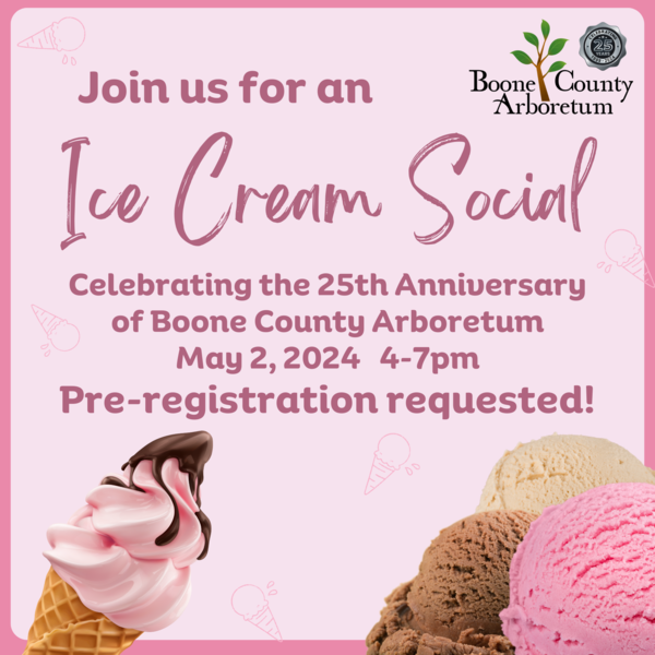 Ice Cream Social Invite