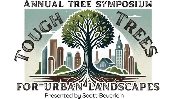 Tough Trees For Urban Landscapes