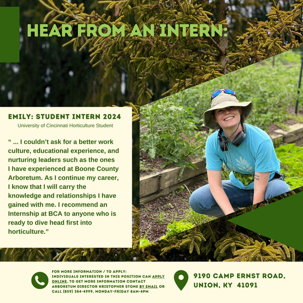 Intern Experience From Emily