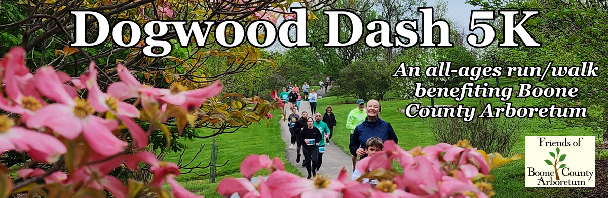Dogwood Dash Hero Banner Image
